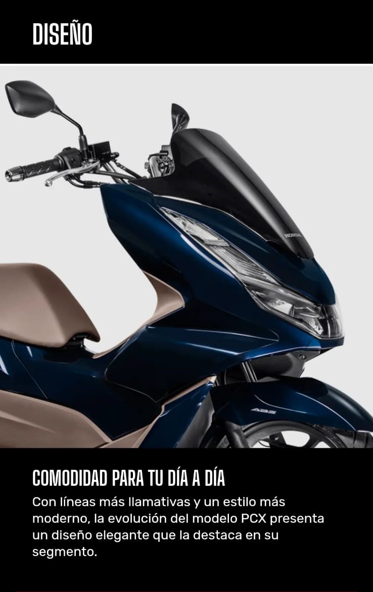 frente
